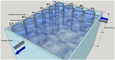 The Potential Impact of Saharan Dust and Polluted Aerosols on Microbial Populations in the East Mediterranean Sea, an Overview of a Mesocosm Experimental Approach